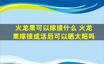 火龙果可以嫁接什么 火龙果嫁接成活后可以晒太阳吗